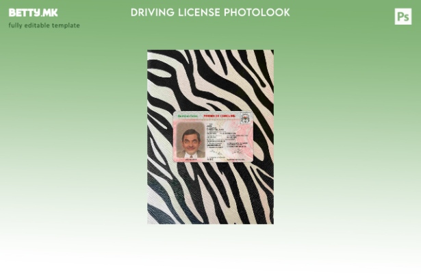 Модерен стил на Буркина Фасо DL photolook FRONT шаблон